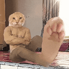 1000003689.gif