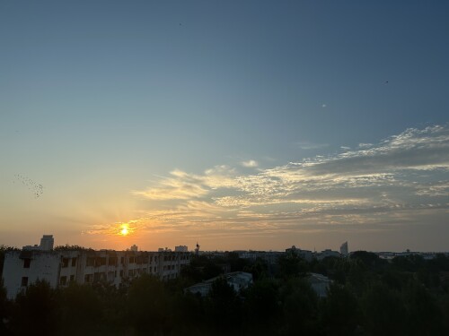 IMG_0050.jpg