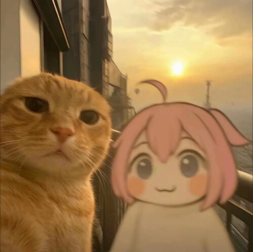1000010001.jpg