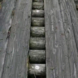 D51AC2F68FD0FD43FBAA5C57F998E6D0.png