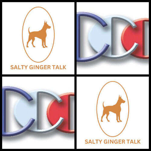 Salty-Ginger-Talk-Interview-guest-expert-Richard-Blank-Costa-Ricas-Call-Center..jpg